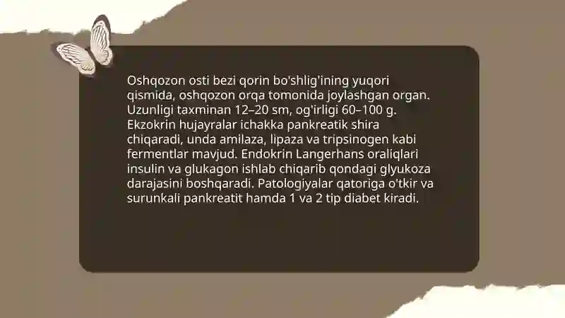Ichki organlar 4