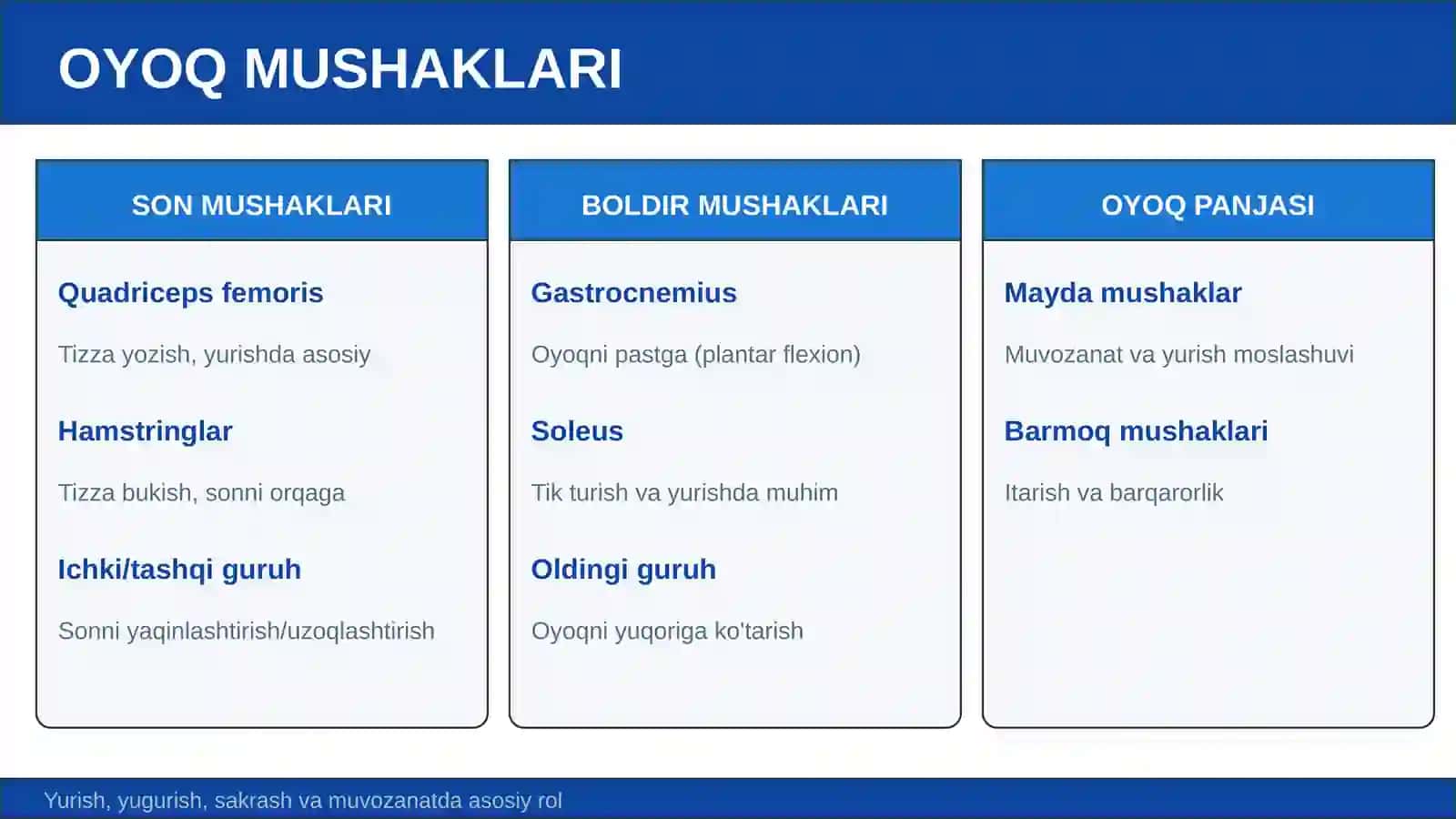 Qo'l va oyoq mushaklari, ularning yoshga qarab o'zgarishi 4