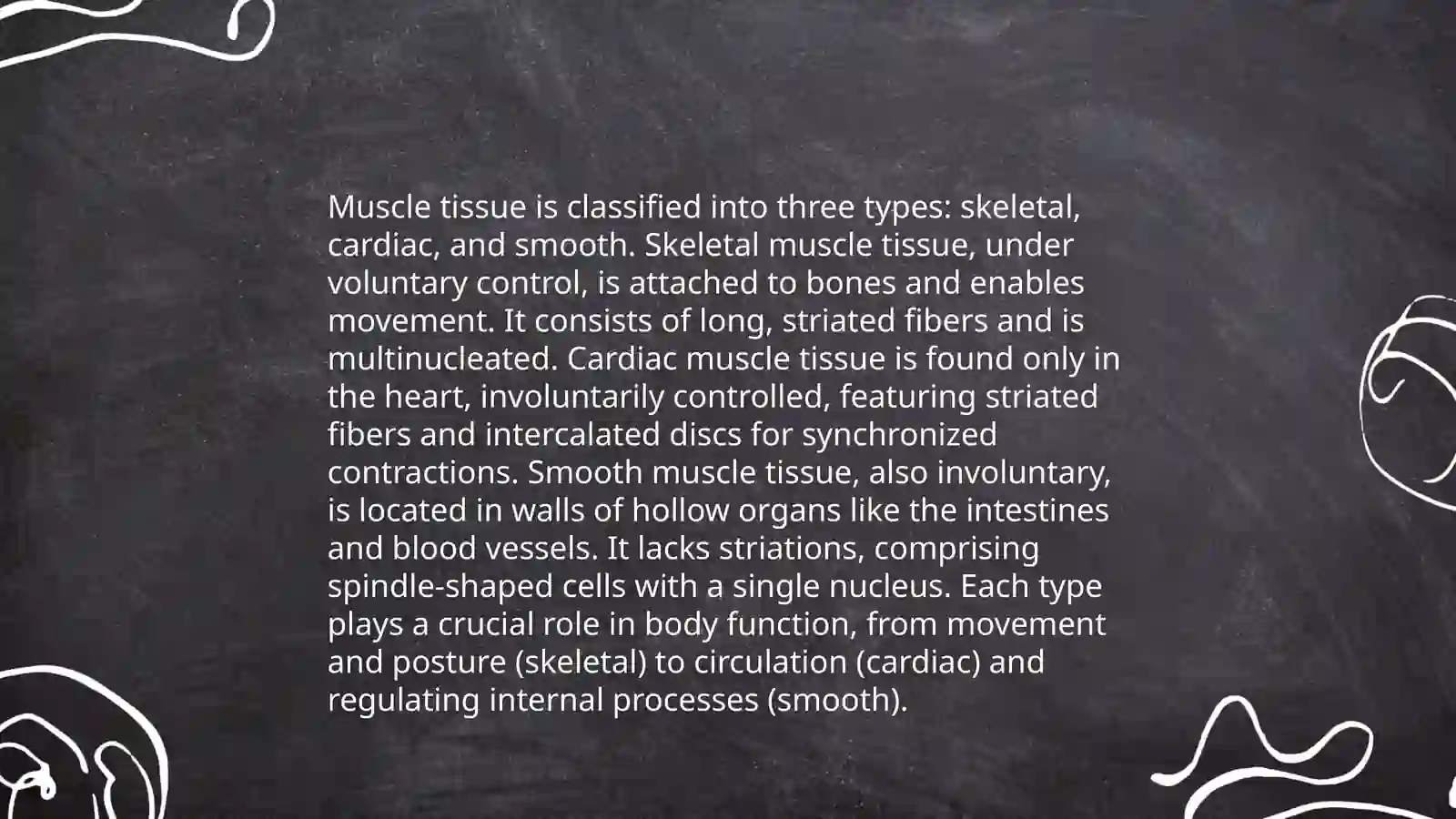 Muscular system 4