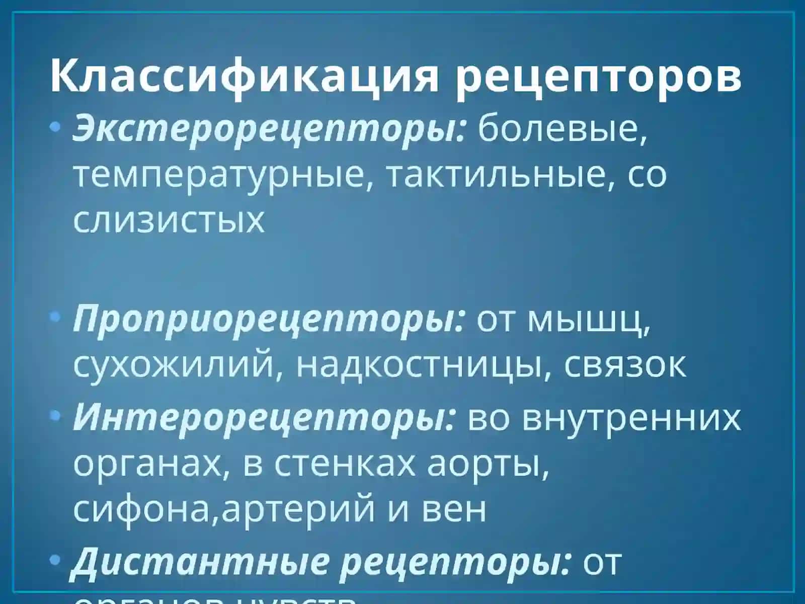 Чувствительная сфера 4