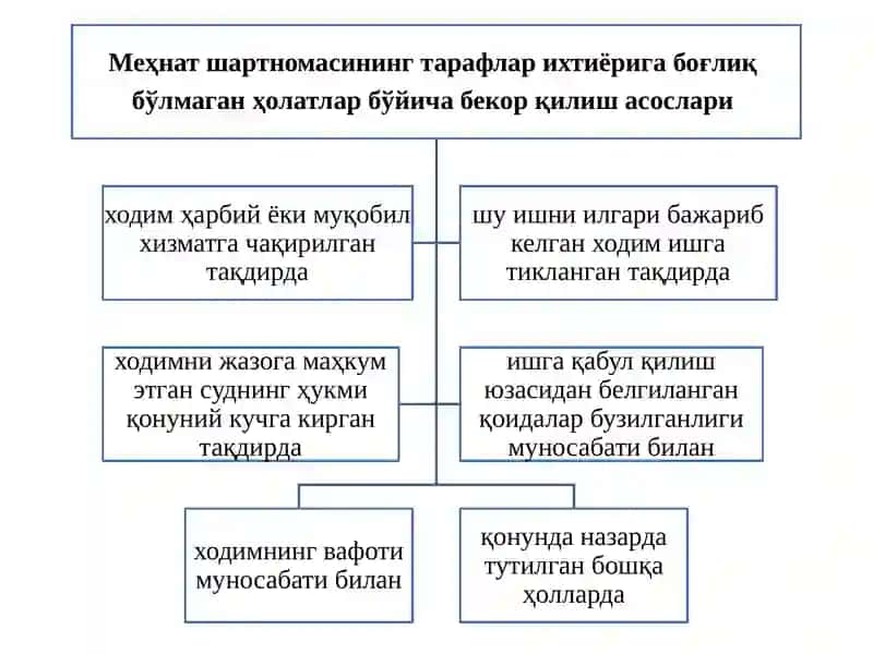 Тарафлар ихтиёрига боғлиқ бўлмаган ҳолатлар бўйича меҳнат шартномасини бекор қилиш 4