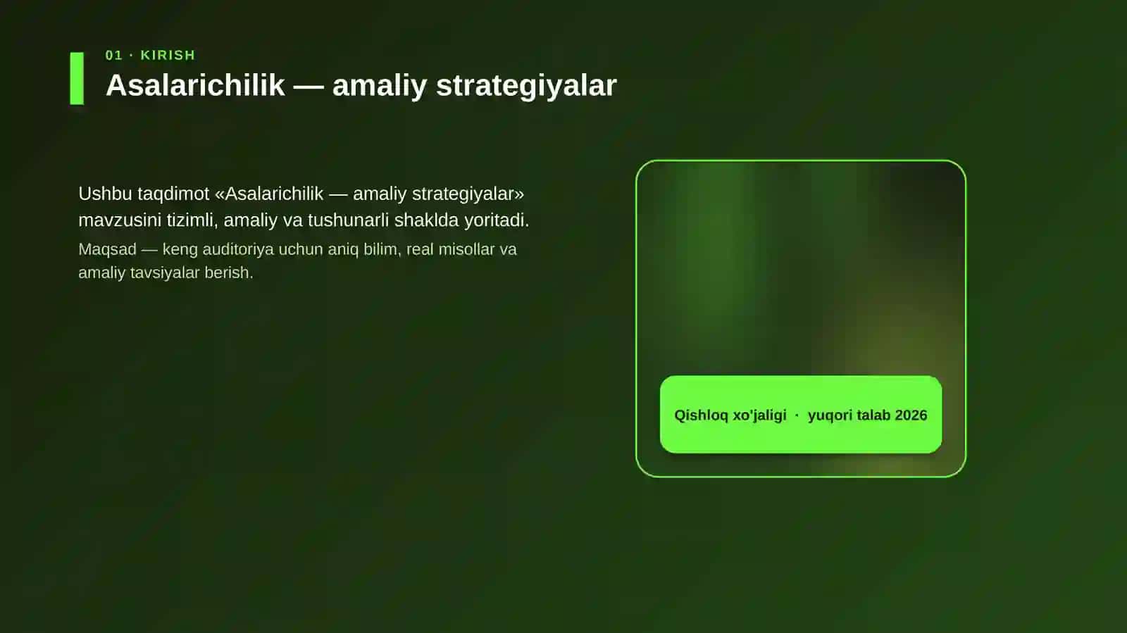 Asalarichilik — amaliy strategiyalar 4