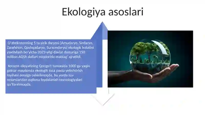 Ekologiya va atrof-muhit muhofazasi 4