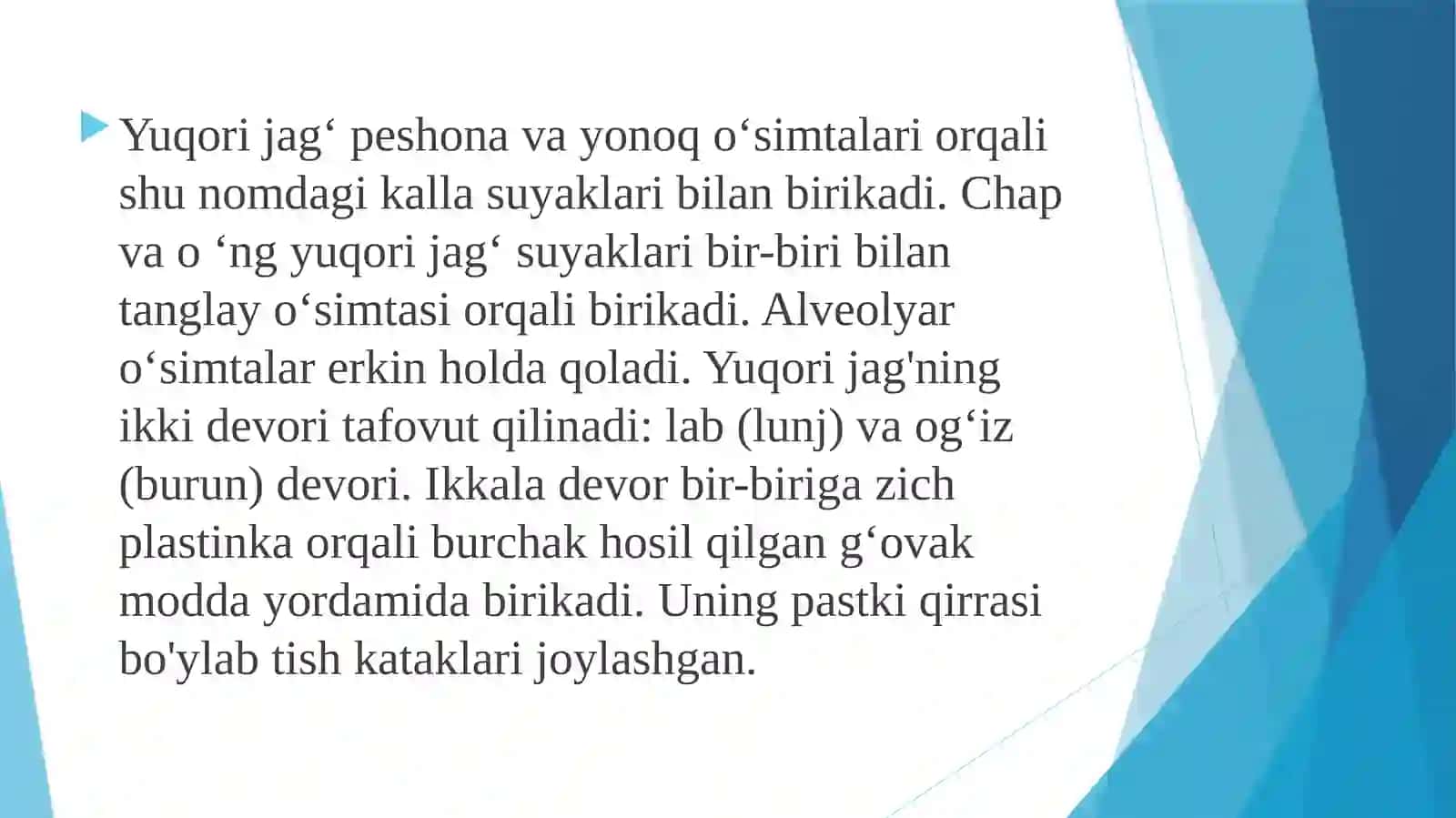 Yuqorijag’ning anatomik tuzulishi 4