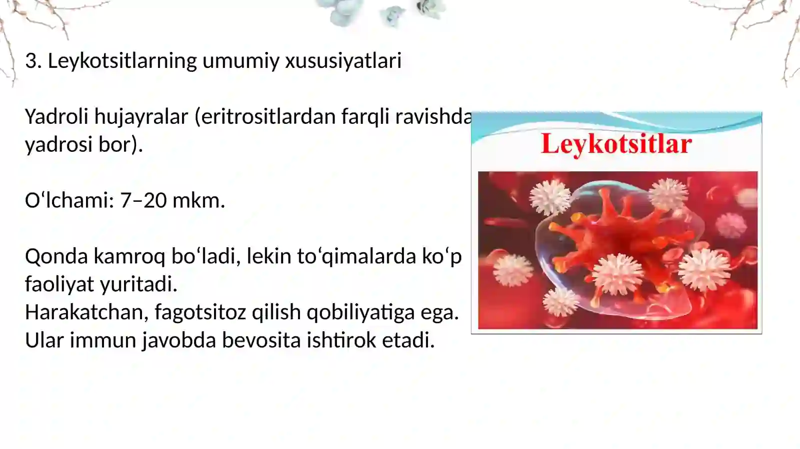 Leykotsitoz va Leykopeniya 4