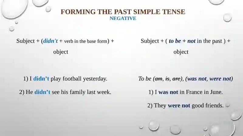 Past simple tense simple past tense 4