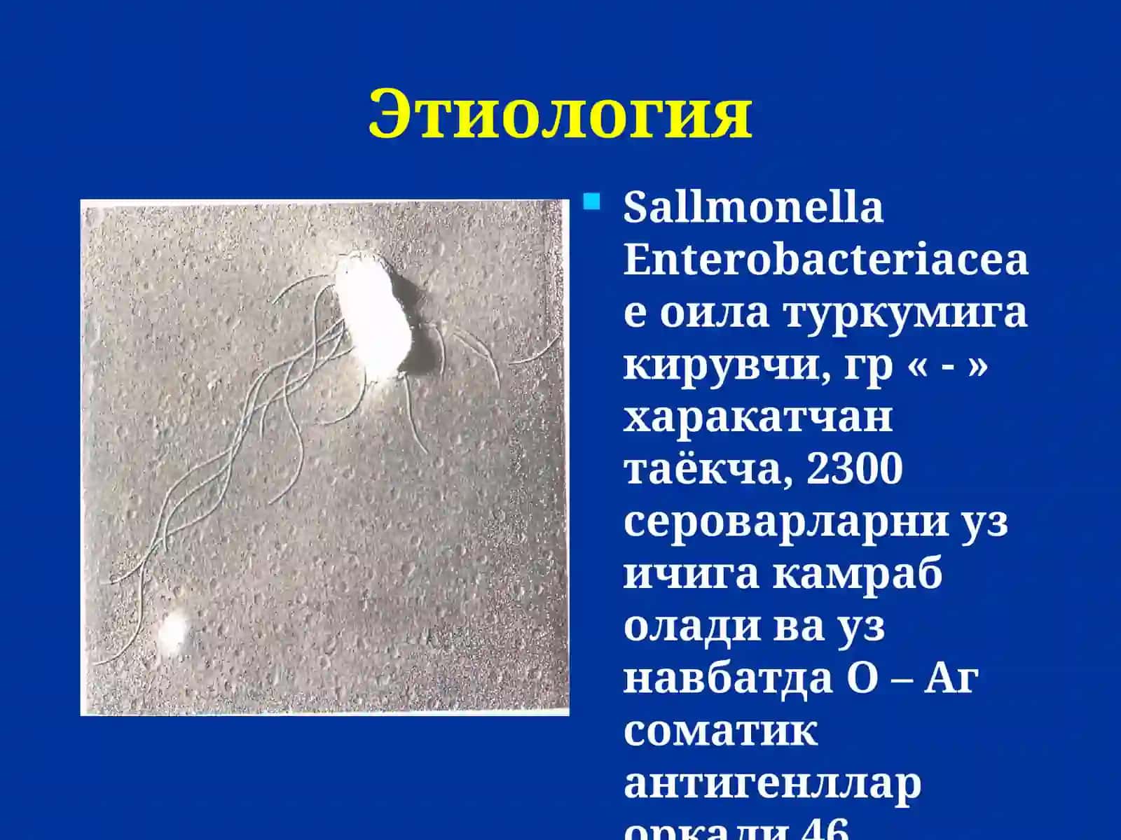 Сальмонеллез 4