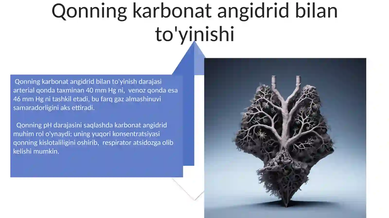 Nafas olish sistemasi fizologiyasi 4