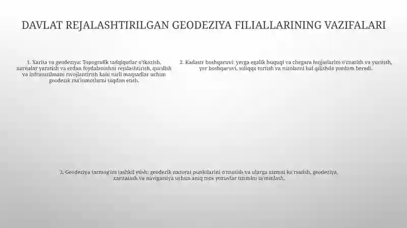 Davlat Planli Geodezik Shaxobchalari 4