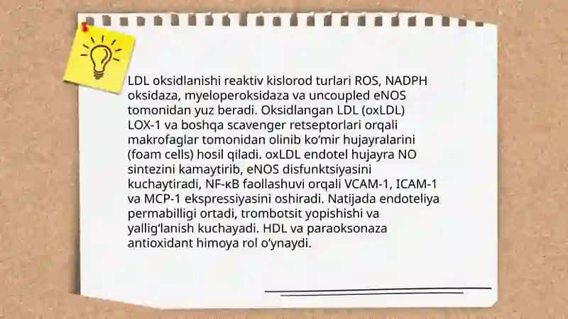 Ateroskleroz rivojlanishining biokimyoviy asoslari.O’t-Tosh kasalliklari 4