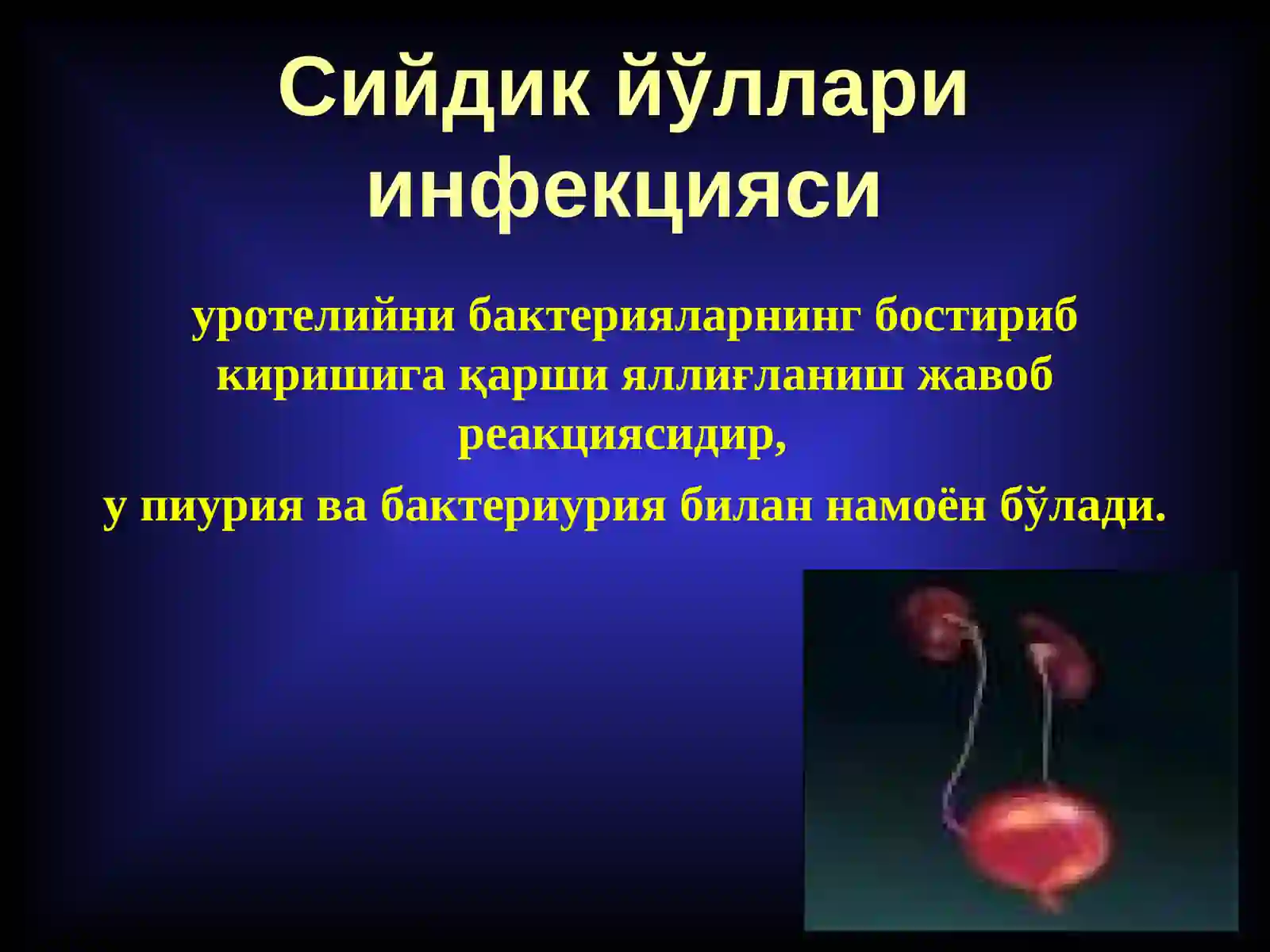 Сийдик йўллари инфекцияси 4