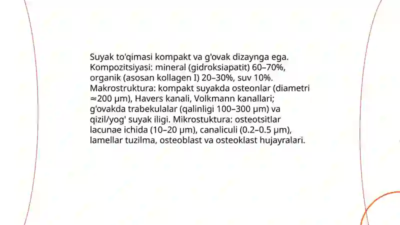 Skelet va boylamlar 4