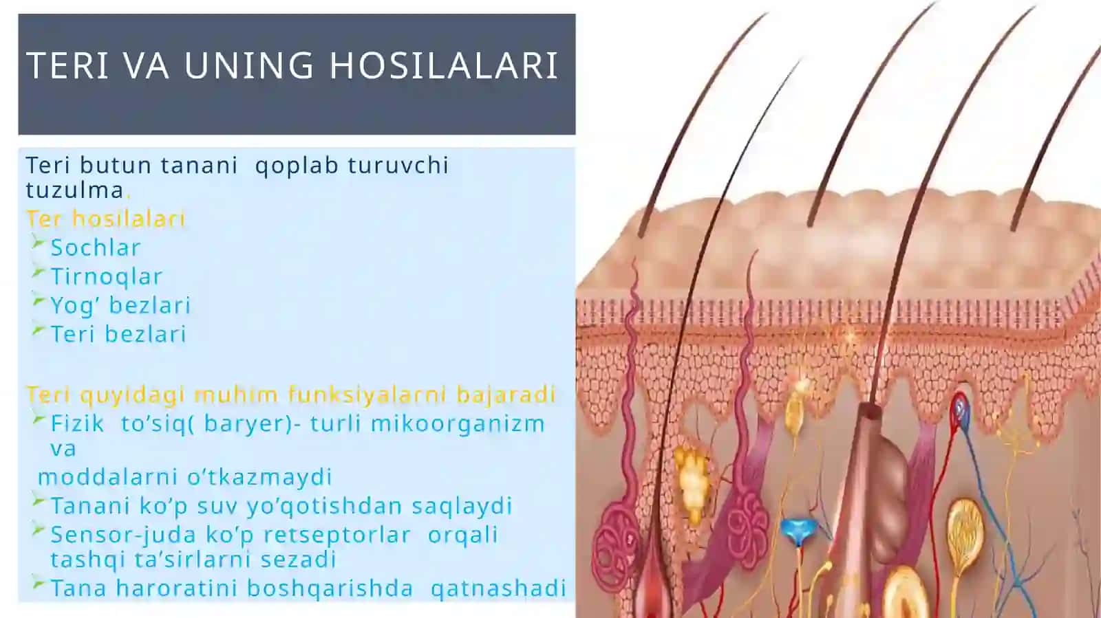 ma'ruzalar haqida 4