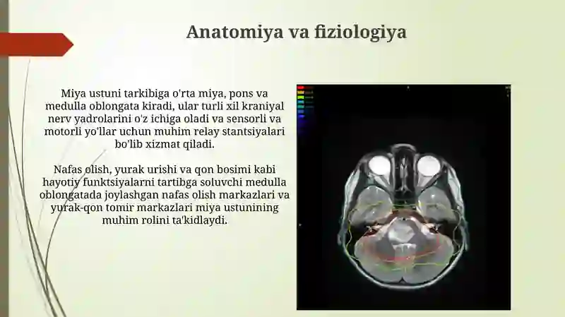 Bosh miya o'zagi o'smalari 4