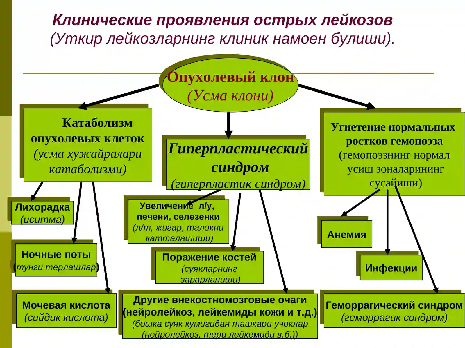 ОСТРЫЕ ЛЕЙКОЗЫ(Уткир лейкозлар) 4