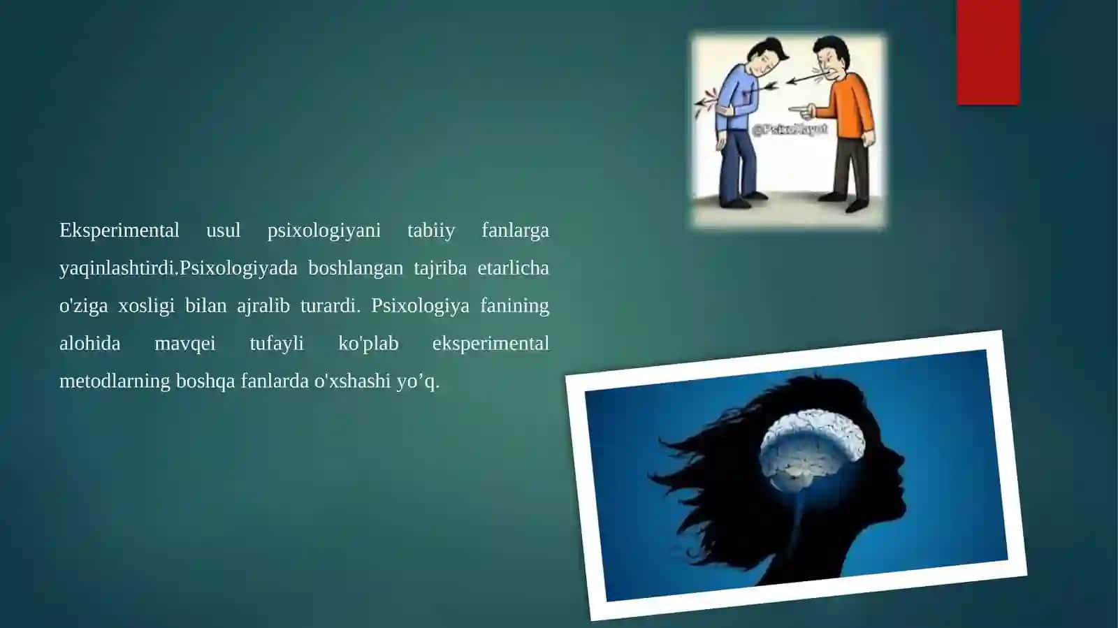 Eksperimental tadqiqot etikasi. Psixologning axloqiy tamoyillari va xulq-atvor kodeksi 4