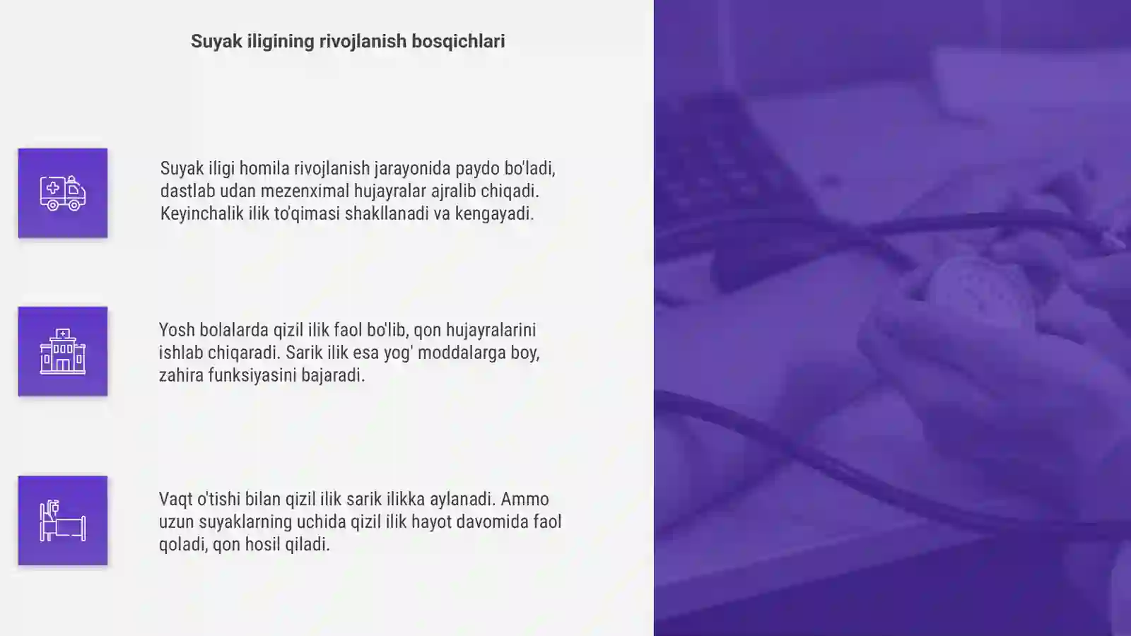 Suyak iligi 4