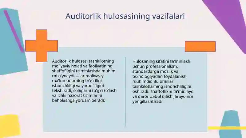Auditorlik xulosasi 4