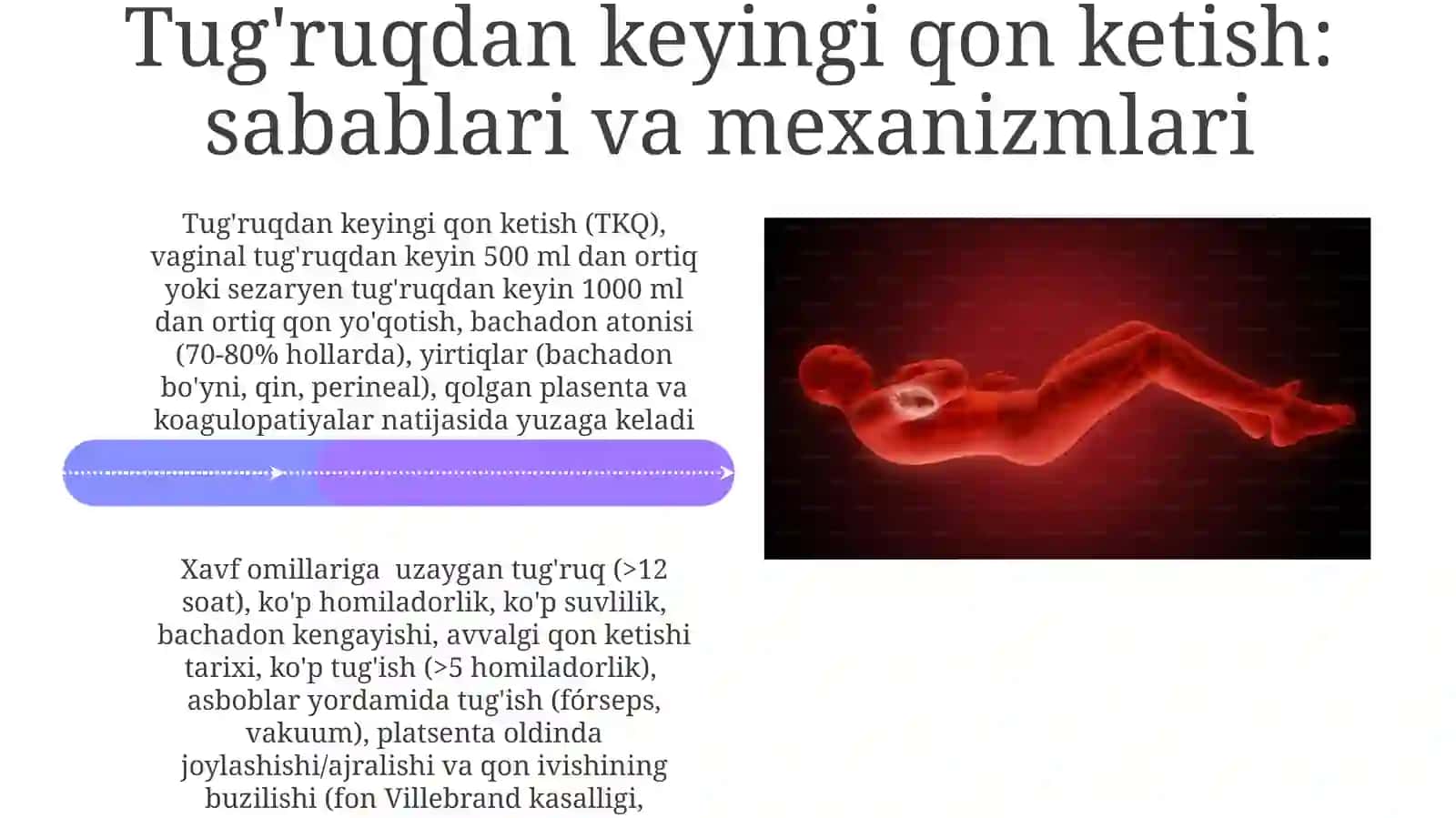 Bachadon qon ta'minoti: anatomiya va fiziologiya 4