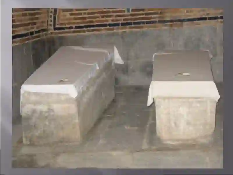 SOHIBQIRON AMIR TEMUR 4