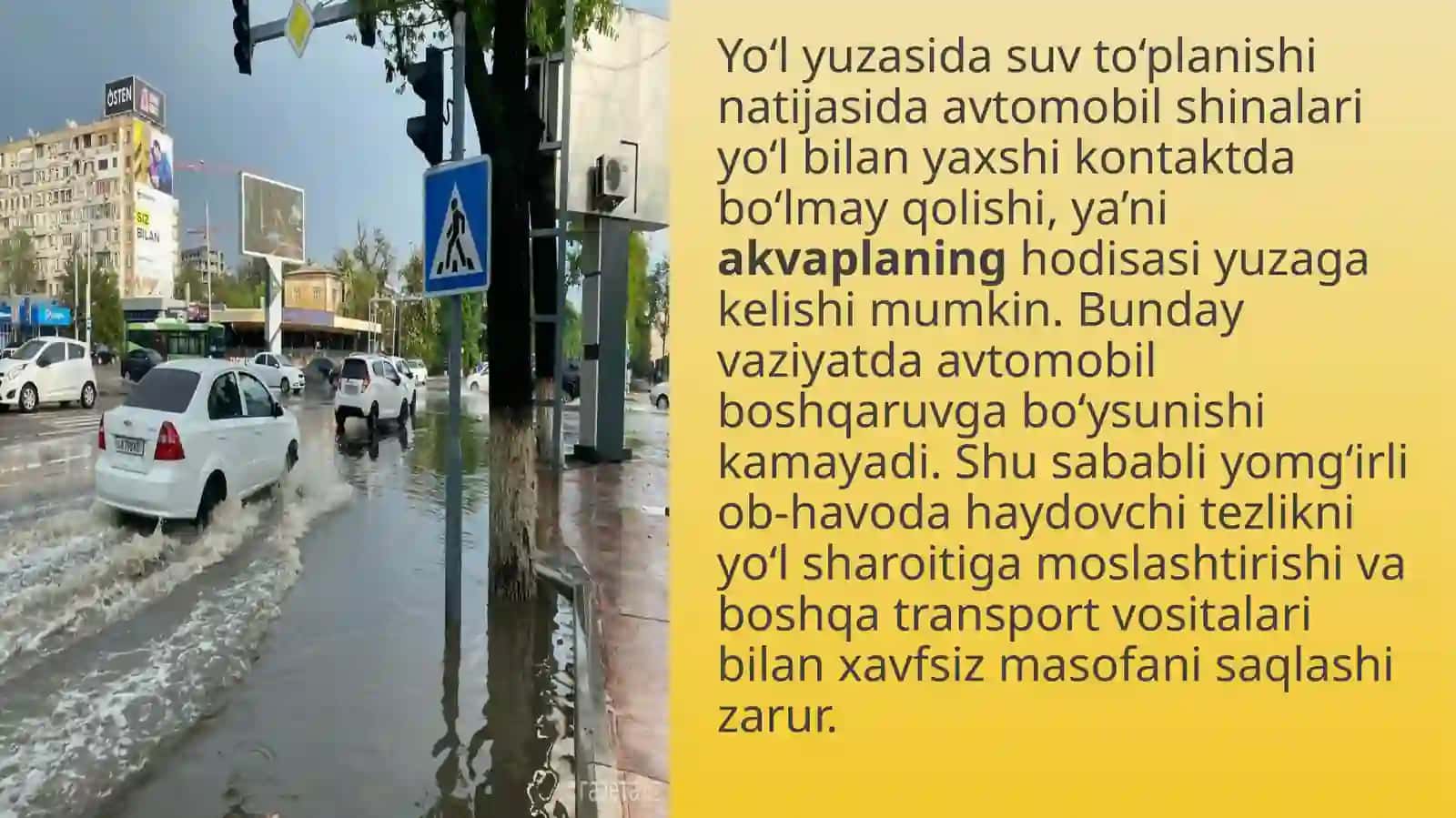 Yomg'irli ob-havoda harakat xavfsizligi 4