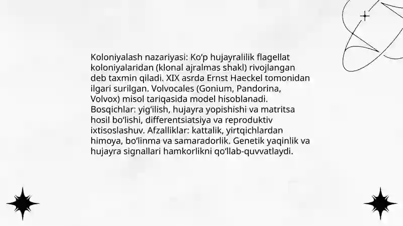 Haqiqiy koʻp hujayralilarning kelib chiqishi 4