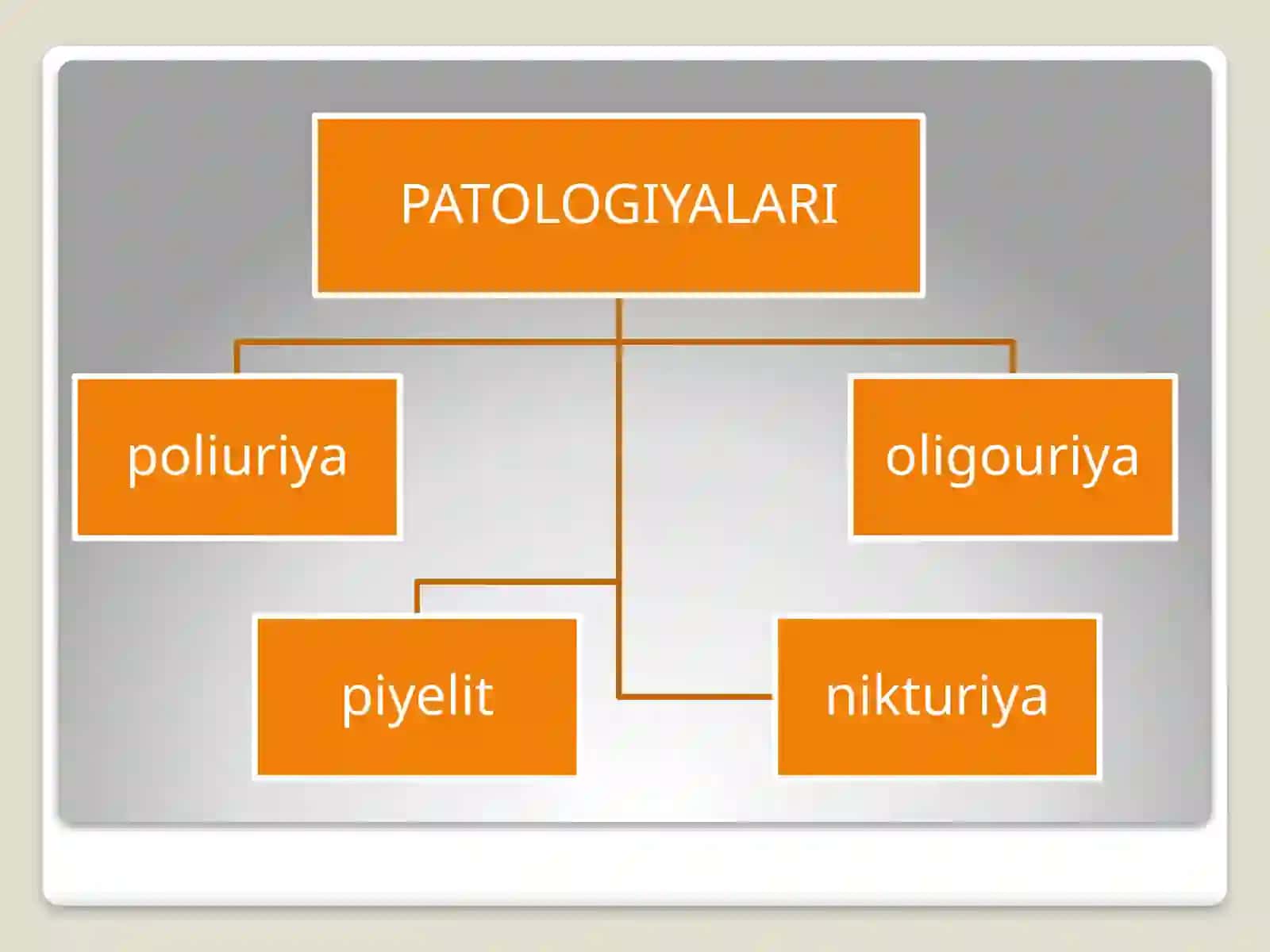 Siydik biokimyosi 4