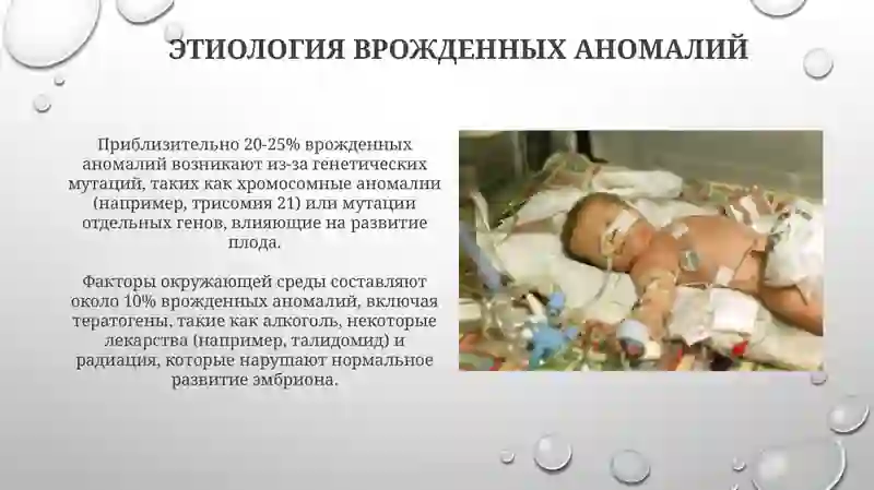 Лечебное дело 2 4