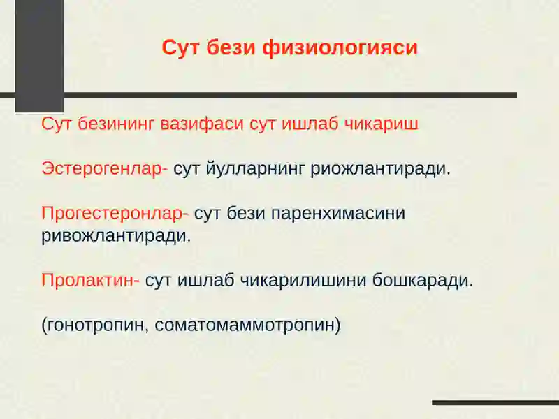 Сутбези 4