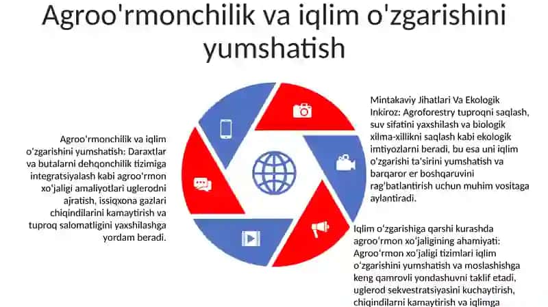 Mintaqaviy agroo'rmonchilik amaliyotlari 4