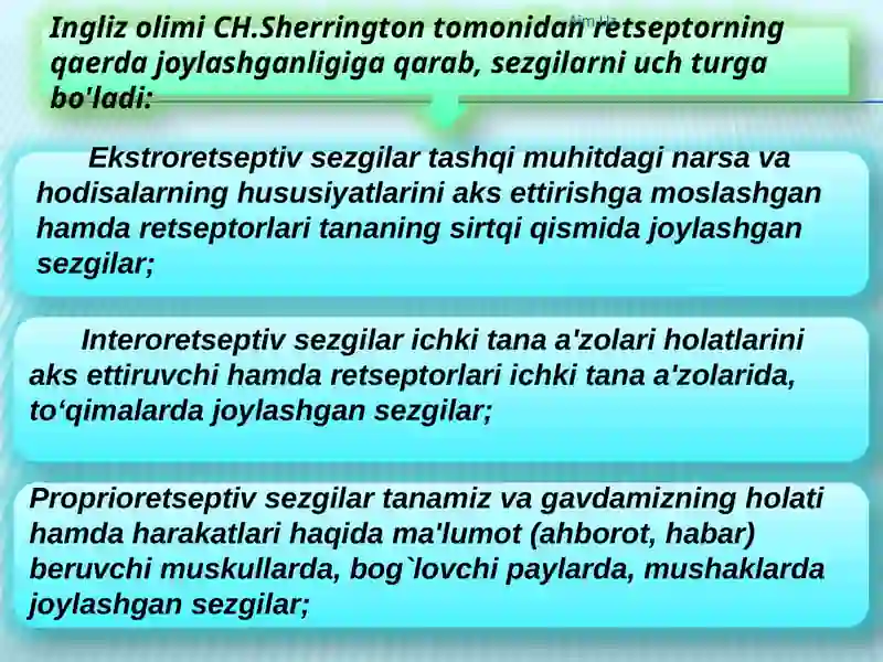 Sezgi 4
