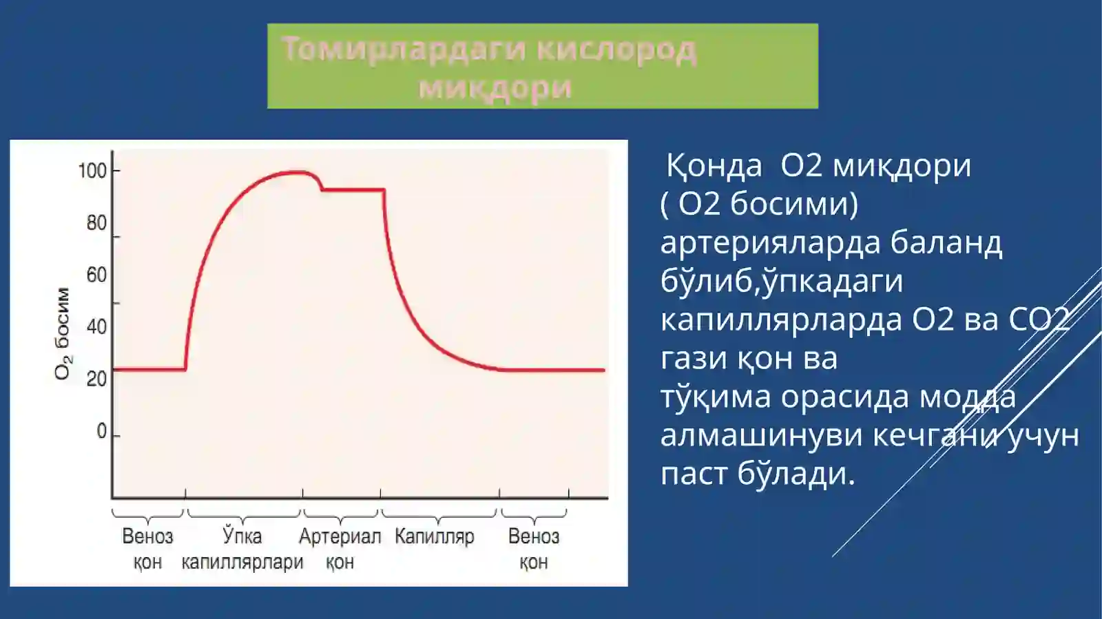ҚОН ВА ҚОН ЯРАТИЛИШИ 4