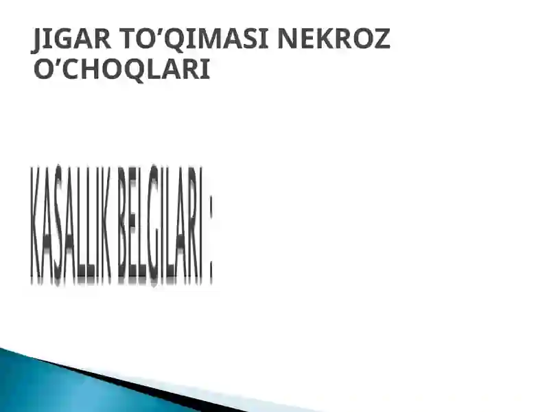JIGARSIRROZI 4
