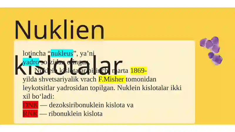 Nuklein kislotalar DNK va RNK (ATF) 4