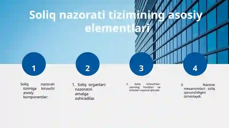 Soliq nazorati tizimi 4