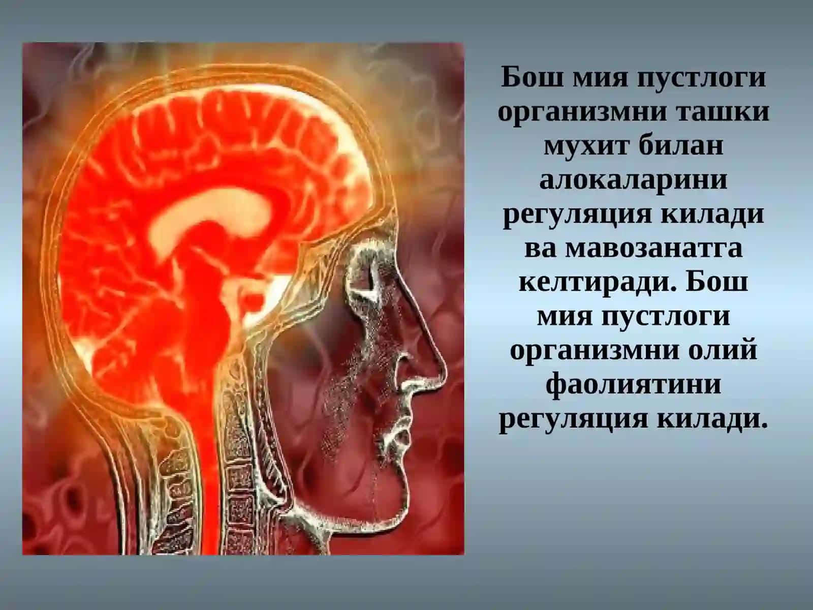 Бош мия пустлоги 4