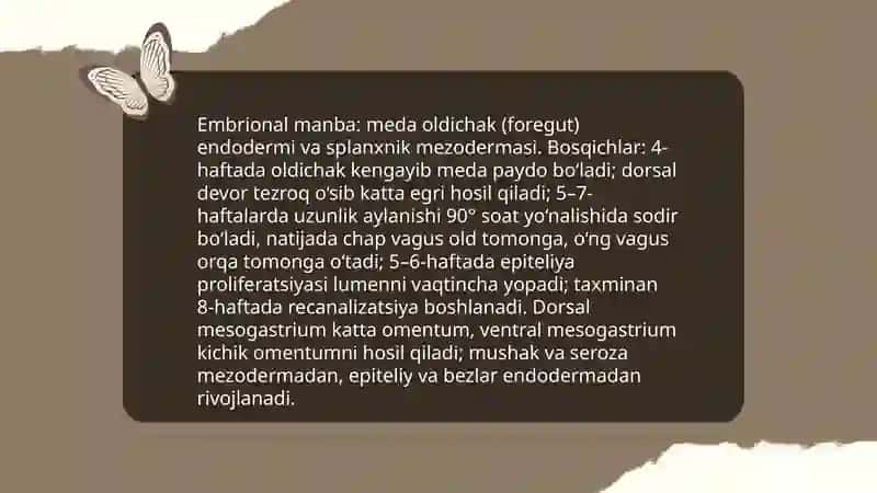 Ovqat hazm qilish tizimi 4