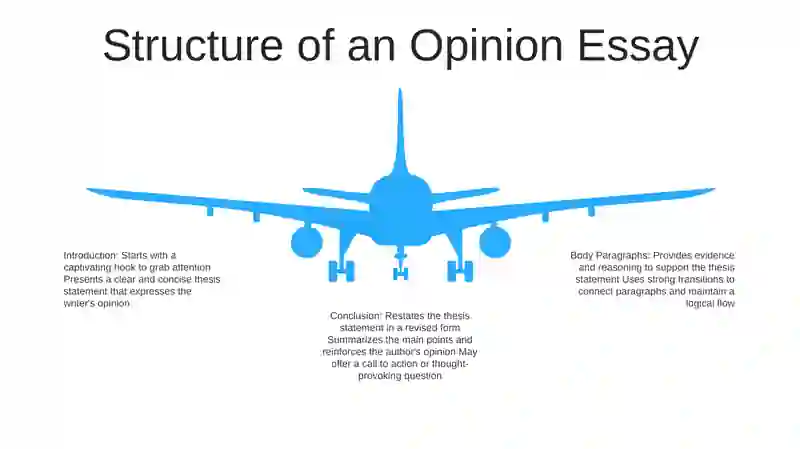 Opinion Essay 4