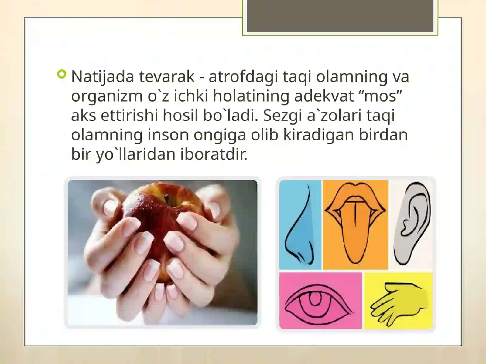 SEZGI 4