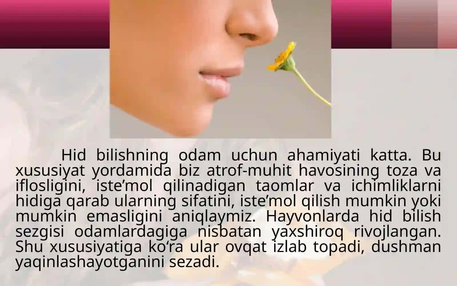 Hidvata’mbilishorganlari 4