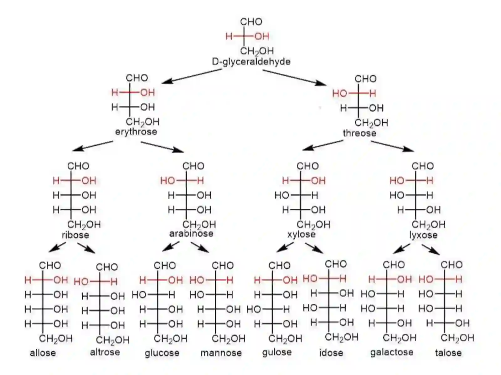 Karbonsuvlar.Monosaxaridlar 4