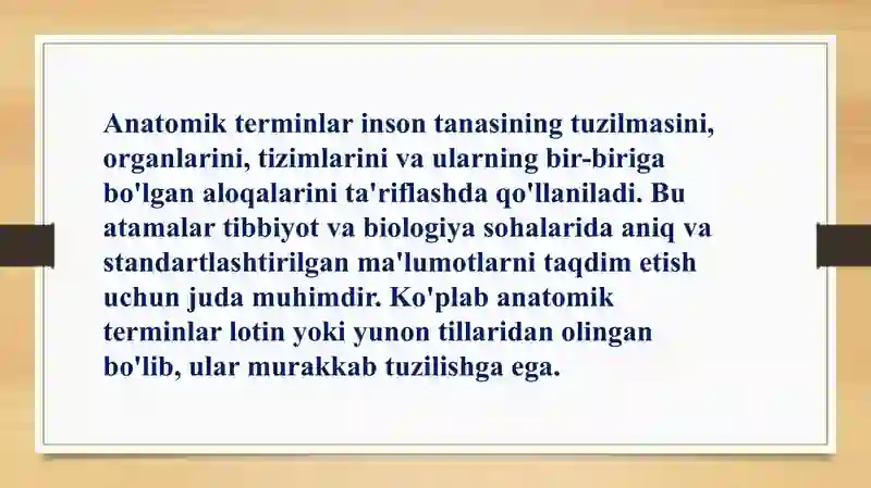 Anatomik terminlar 4