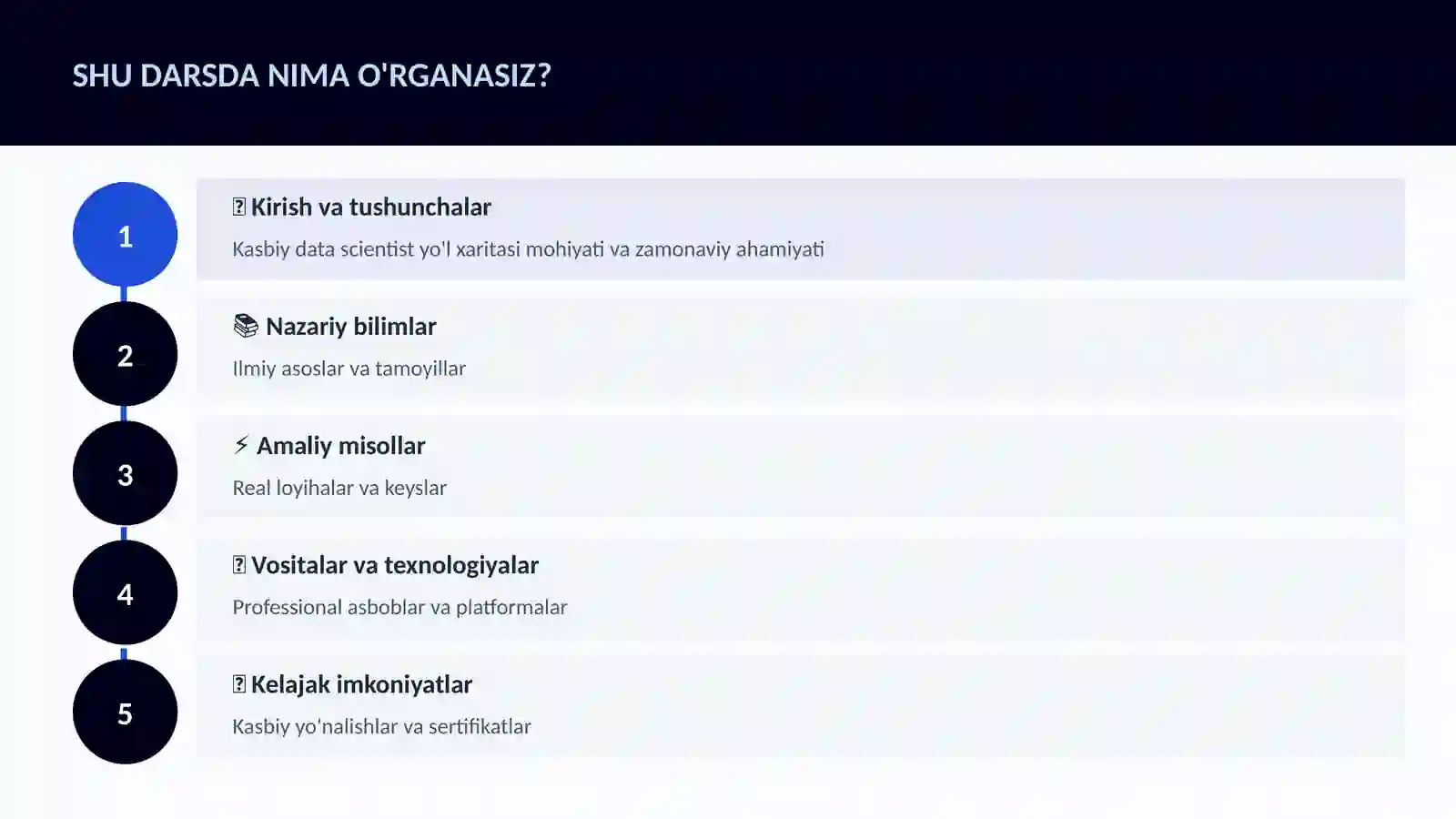 Kasbiy data scientist yo'l xaritasi 4