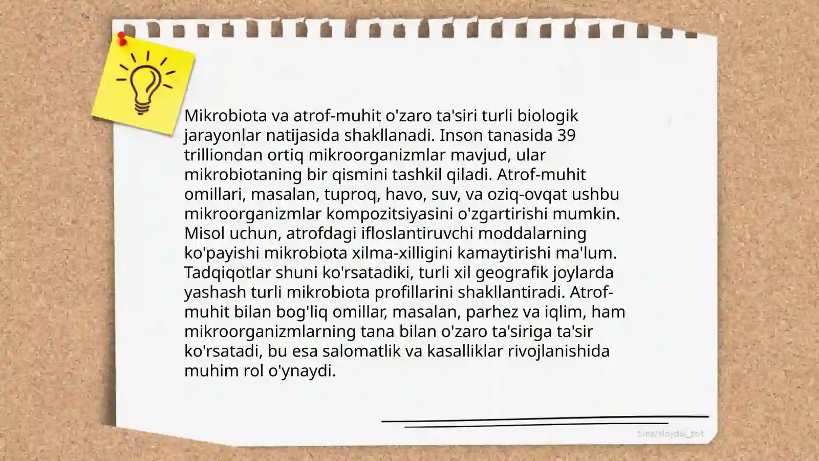 Mikroorganizmlarning ekologiyasi, suv, havo, tuproq mikroflorasi 4