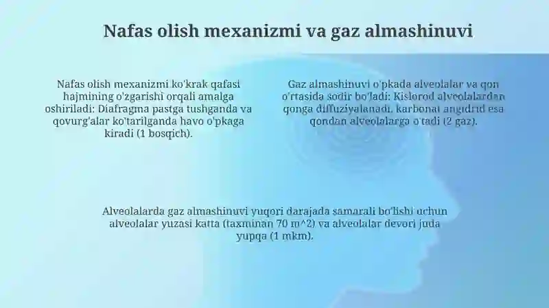 Nafas Olish Tizimi 4