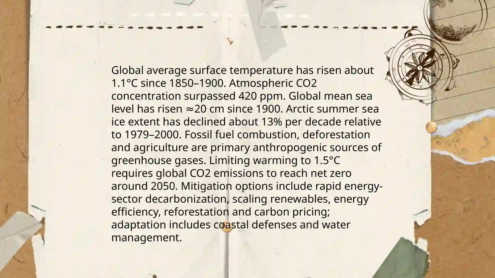 Ecological problems 4