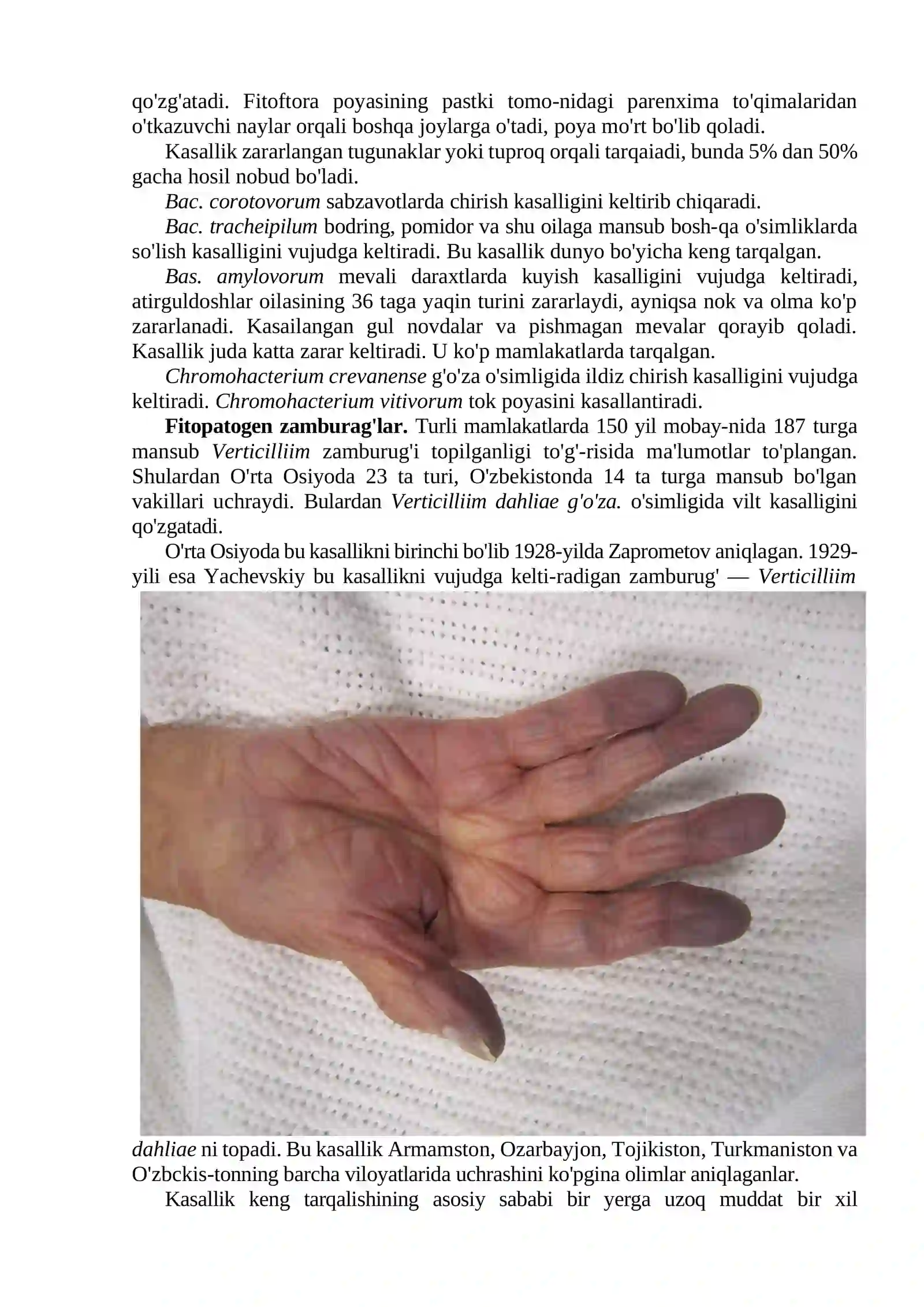 Patogen mikroorganizmlar haqida umumiy tushuncha 4