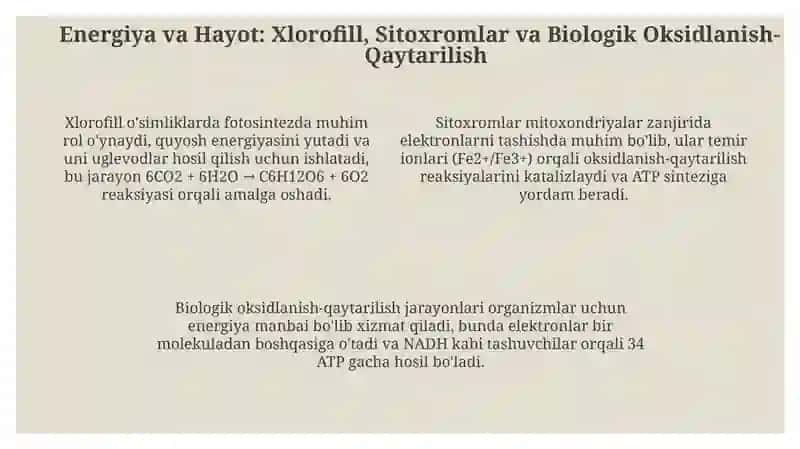 Metalloproteinlar va Metalloenzimlar: Biologik Funksiyalarning Asosiy Elementlari 4