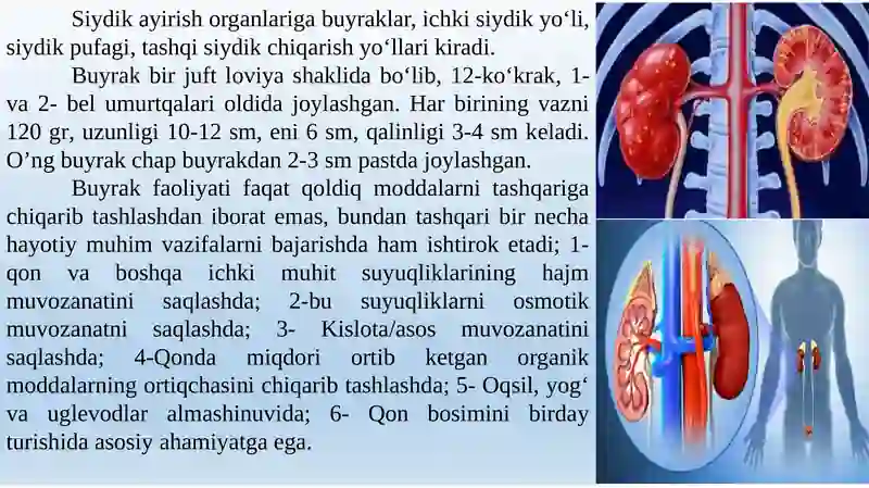 Moddalar almashinuvi jarayonlari 4