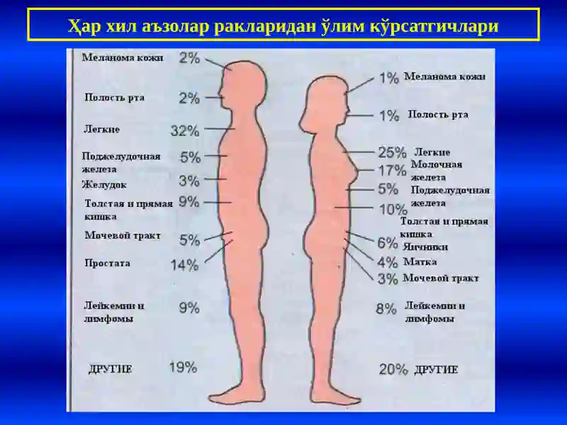 ЎСМАЛАР 4